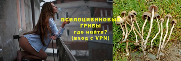 герыч Бронницы